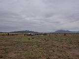 Trinity Site : New Mexico